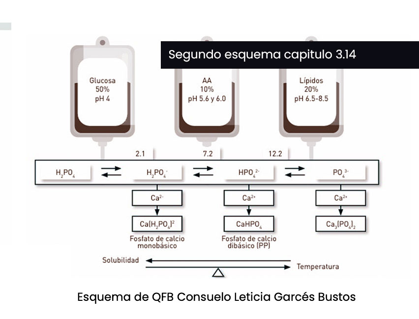 Página interna del libro